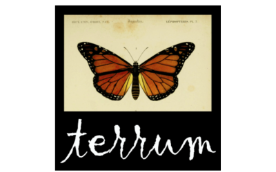 Terrum Social