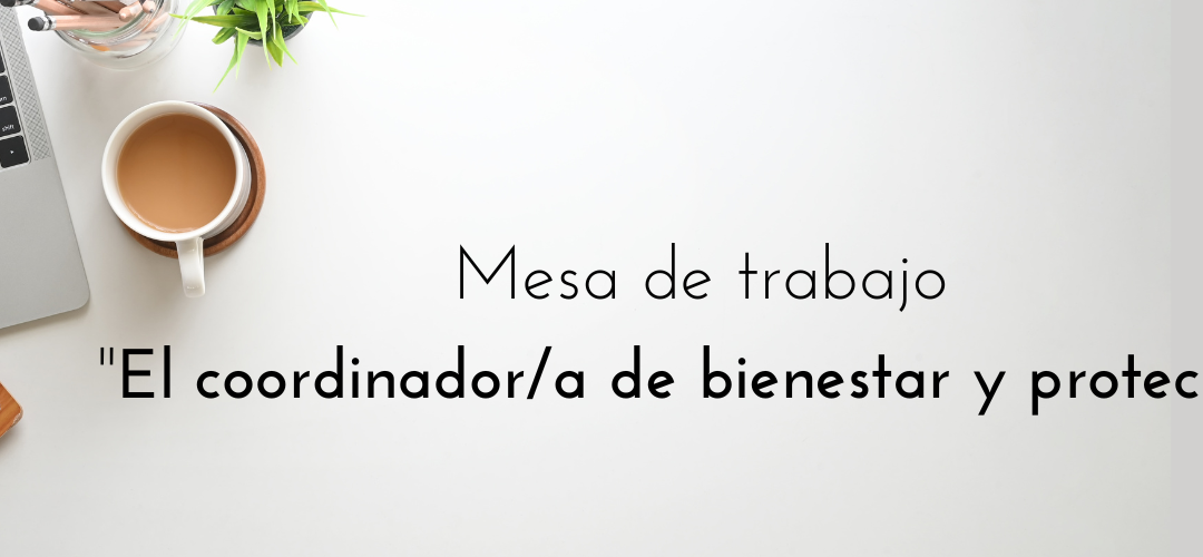 Mesa de Trabajo Coordinador/a Bienestar y Protección