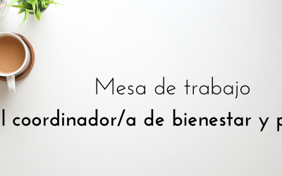 Mesa de Trabajo Coordinador/a Bienestar y Protección