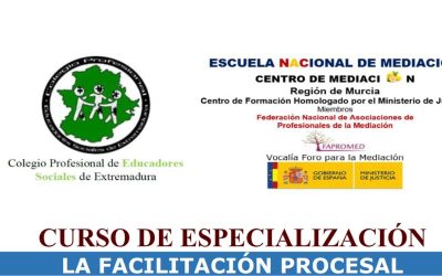 CURSO DE ESPECIALIZACIÓN LA FACILITACIÓN PROCESAL PARA ACOMPAÑAR A PERSONAS CON DISCAPACIDAD EN PROCESOS JUDICIALES     