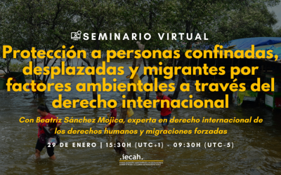 Seminario virtual | Protección a personas confinadas, desplazadas y migrantes por factores ambientales a través del derecho internacional
